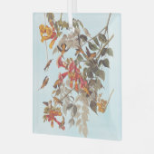 オードボンズトロピカルルビーのハミングバード ガラスオーナメント (正面左)