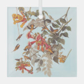 オードボンズトロピカルルビーのハミングバード ガラスオーナメント (正面)