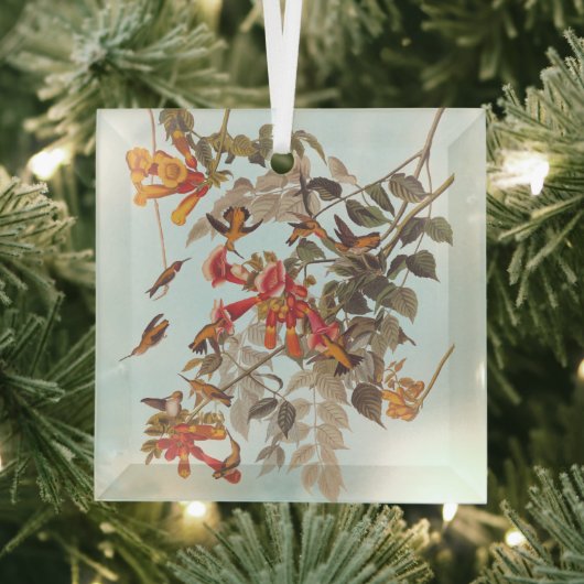 オードボンズトロピカルルビーのハミングバード ガラスオーナメント (インサイチュ)