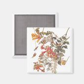 オードボンズトロピカルルビーのハミングバード マグネット (正面/裏面)