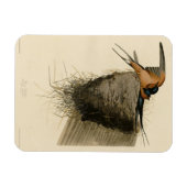 オードボンズバーズオブアメリカのバーンツバメ マグネット (横)