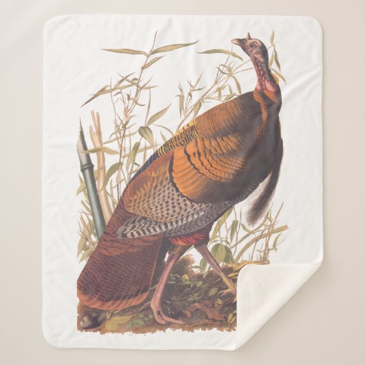 オードボンズバーズオブアメリカ野生のトルコ秋の鳥 シェルパブランケット (正面)