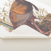 オードボンズバーズオブアメリカ野生のトルコ秋の鳥 シェルパブランケット (3/4)