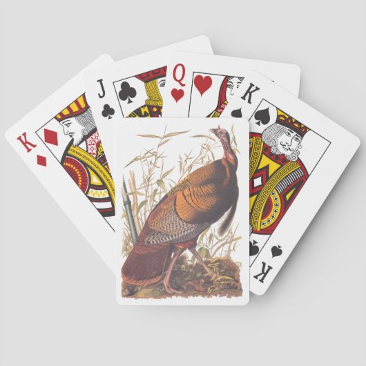 オードボンズバーズオブアメリカ野生のトルコ秋の鳥 トランプ (裏面)