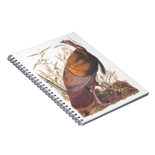オードボンズバーズオブアメリカ野生のトルコ秋の鳥 ノートブック (右側)
