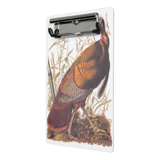 オードボンズバーズオブアメリカ野生のトルコ秋の鳥 ミニクリップボード (アングル2)