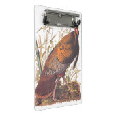 オードボンズバーズオブアメリカ野生のトルコ秋の鳥 ミニクリップボード (アングル)