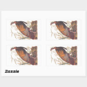オードボンズバーズオブアメリカ野生のトルコ秋の鳥 長方形シール (シート)