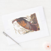 オードボンズバーズオブアメリカ野生のトルコ秋の鳥 長方形シール (封筒)