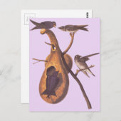 オードボンズパープルマーチン ポストカード (正面/裏面)