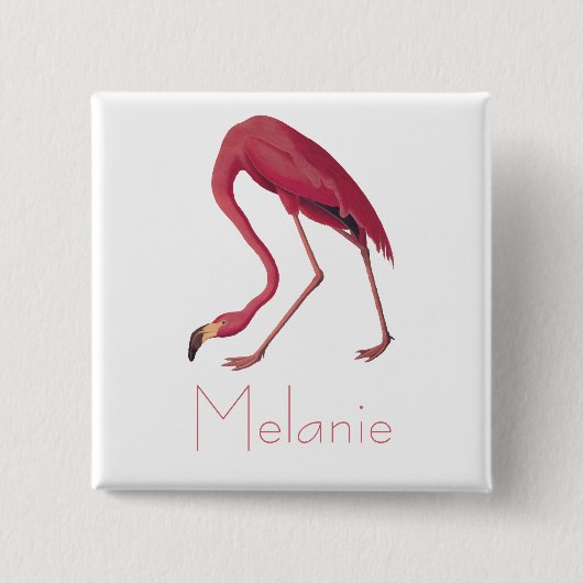 オードボンズピンクフラミンゴヴィンテージバードオブアメリカ 缶バッジ (正面)