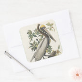 オードボンズブラウンペリカン スクエアシール (封筒)