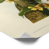 オードボンズブルージェイズ ポスター (角)