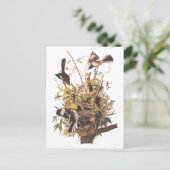 オードボンズモッキンバード対ラトルズナケ ポストカード (スタンド正面)