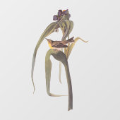 オードボンズヴィガーズヴィレオソンバード ウィンドウサイン (シート)