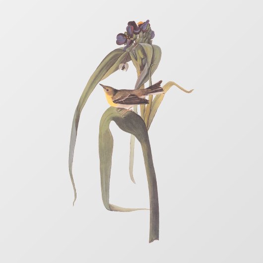 オードボンズヴィガーズヴィレオソンバード ウィンドウサイン (シート)