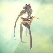 オードボンズヴィガーズヴィレオソンバード ウィンドウサイン (シート3)