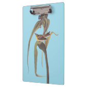 オードボンズヴィガーズヴィレオソンバード クリップボード (左)