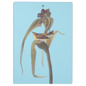 オードボンズヴィガーズヴィレオソンバード クリップボード (裏面)