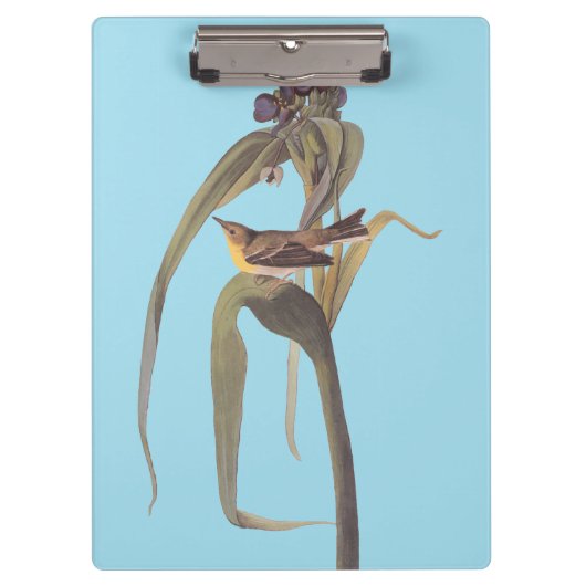 オードボンズヴィガーズヴィレオソンバード クリップボード (正面)