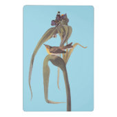 オードボンズヴィガーズヴィレオソンバード ミニクリップボード (裏面)