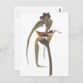 オードボンズヴィゴールズヴィレオ ポストカード (正面/裏面)