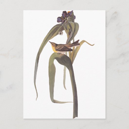 オードボンズヴィゴールズヴィレオ ポストカード (正面)