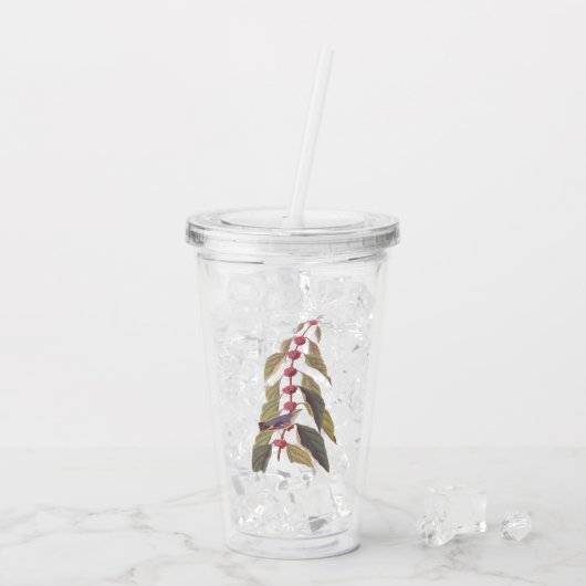 オードボンズヴィンテージブルーグリーンウォーブラーソングバード アクリルタンブラー (アイス裏面)