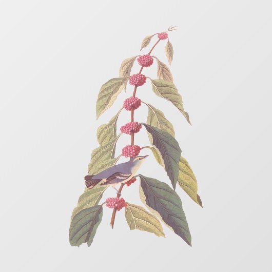 オードボンズヴィンテージブルーグリーンウォーブラーソングバード ウィンドウサイン (シート)