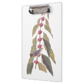 オードボンズヴィンテージブルーグリーンウォーブラーソングバード クリップボード (左)