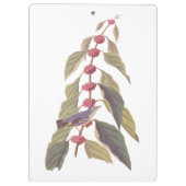 オードボンズヴィンテージブルーグリーンウォーブラーソングバード クリップボード (裏面)