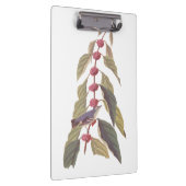 オードボンズヴィンテージブルーグリーンウォーブラーソングバード クリップボード (右)