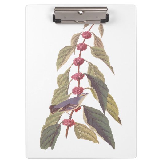 オードボンズヴィンテージブルーグリーンウォーブラーソングバード クリップボード (正面)