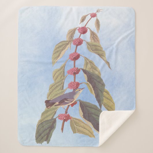 オードボンズヴィンテージブルーグリーンウォーブラーソングバード シェルパブランケット (正面)