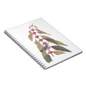 オードボンズヴィンテージブルーグリーンウォーブラーソングバード ノートブック (右側)