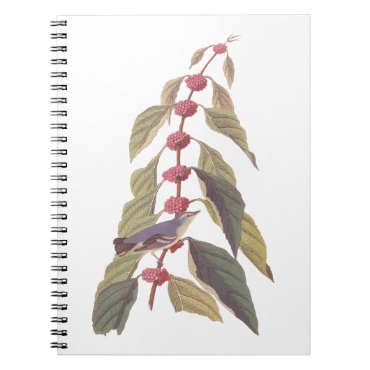 オードボンズヴィンテージブルーグリーンウォーブラーソングバード ノートブック (正面)