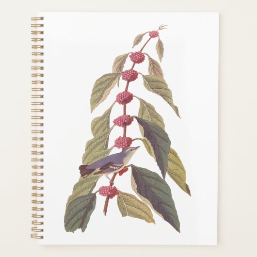 オードボンズヴィンテージブルーグリーンウォーブラーソングバード プランナー手帳 (正面)