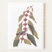 オードボンズヴィンテージブルーグリーンウォーブラーソングバード プランナー手帳 (裏面)