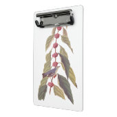 オードボンズヴィンテージブルーグリーンウォーブラーソングバード ミニクリップボード (アングル2)