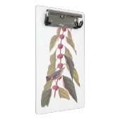 オードボンズヴィンテージブルーグリーンウォーブラーソングバード ミニクリップボード (アングル)