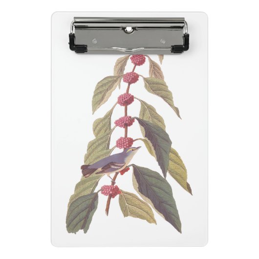 オードボンズヴィンテージブルーグリーンウォーブラーソングバード ミニクリップボード (正面)