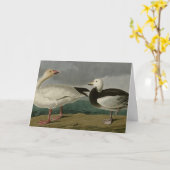 オードボンズ・バーズオブアメリカの雪ガチョウ カード (黄色い花)