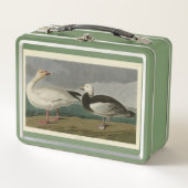 オードボンズ・バーズオブアメリカの雪ガチョウ メタルランチボックス (正面)