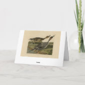 オードボンズ・バーズオブアメリカ カード (裏面)