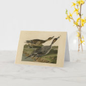 オードボンズ・バーズオブアメリカ カード (黄色い花)