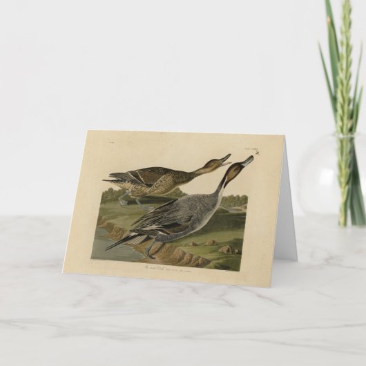 オードボンズ・バーズオブアメリカ カード (正面)