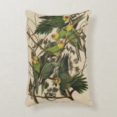 オードボンズ・バード・オブ・アメリカのカロライナ・オウム アクセントクッション (正面(垂直))