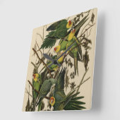 オードボンズ・バード・オブ・アメリカのカロライナ・オウム スクエア壁時計 (傾斜)