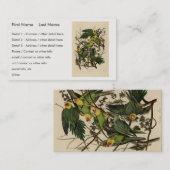 オードボンズ・バード・オブ・アメリカのカロライナ・オウム 名刺 (正面/裏面)