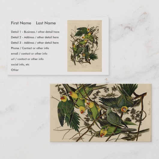 オードボンズ・バード・オブ・アメリカのカロライナ・オウム 名刺 (正面/裏面)